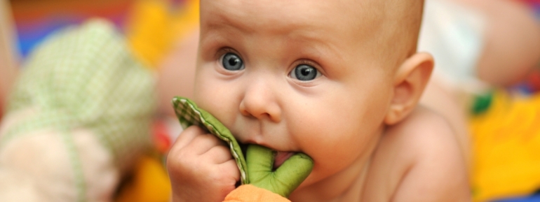 Как отучить ребенка тащить все в рот